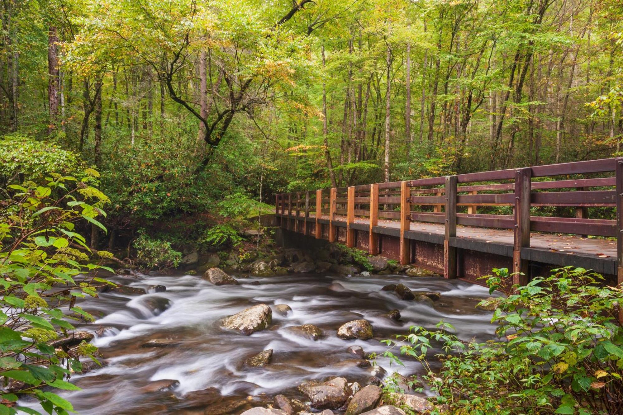 Moonshine Chalet, Hot Tub, Pool Access, Wifi, 1089 Free Tickets Each Paid Day, Dollywood And More Gatlinburg Buitenkant foto