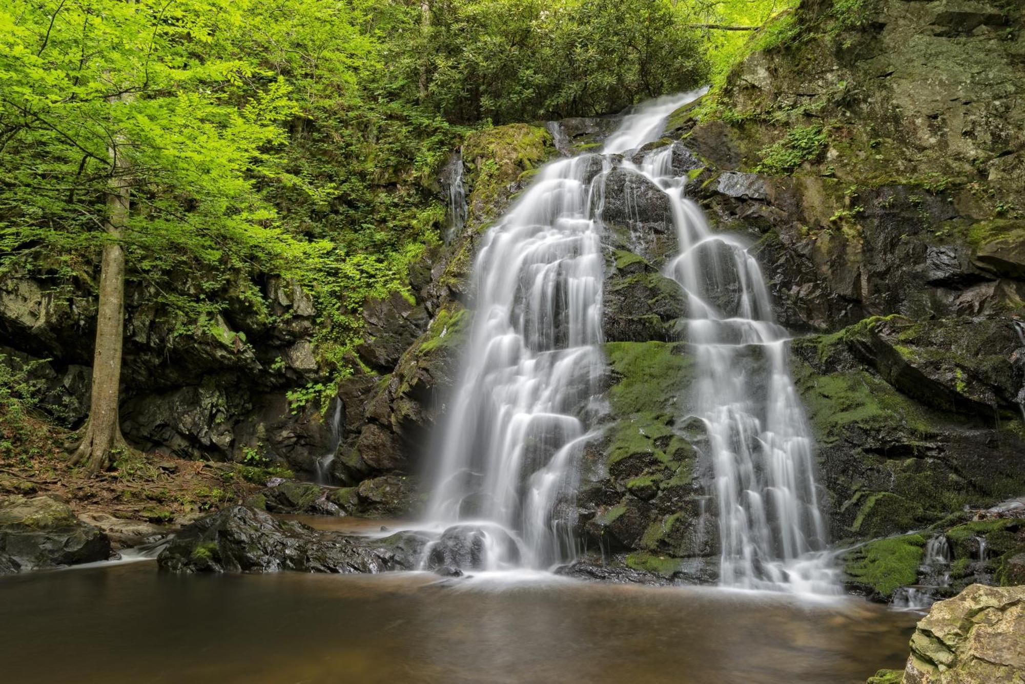 Moonshine Chalet, Hot Tub, Pool Access, Wifi, 1089 Free Tickets Each Paid Day, Dollywood And More Gatlinburg Buitenkant foto